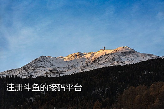 拼多多接码