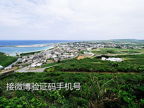 能做微信注册的接码平台