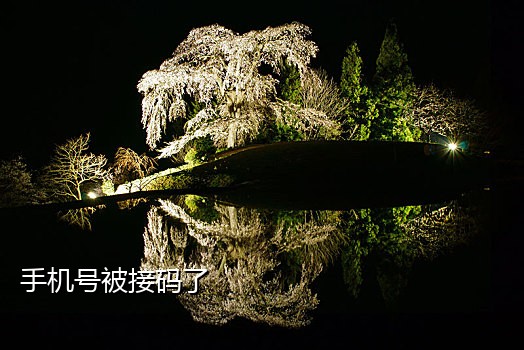 能注册qq号的接码平台