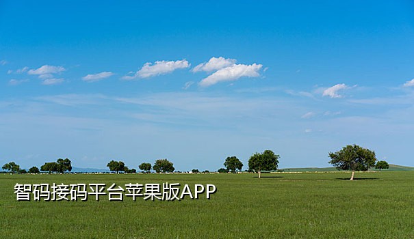 能指定手机号的接码平台