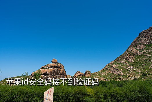微信网页接码