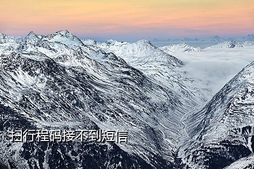 陌陌接码技术怎么样的好用