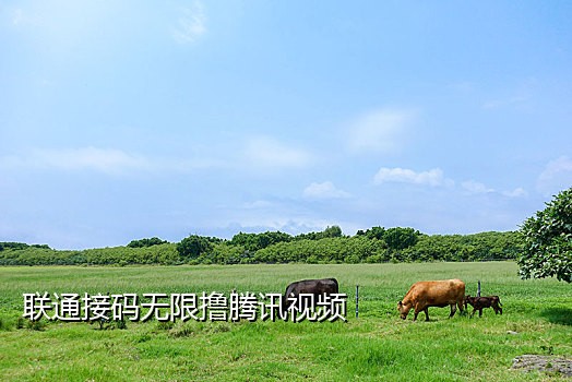 国外短信接码app