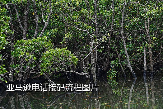 免费接码短信教程