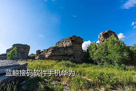 美团网接码