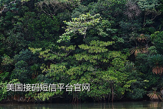 国内手机接码平台有哪些品牌