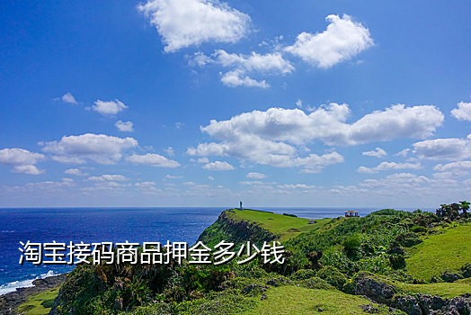 临时接码手机验证码