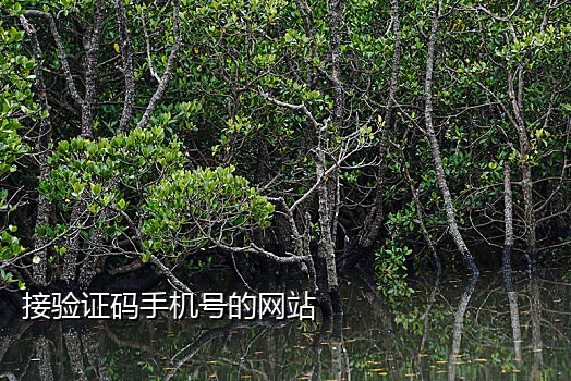 快手老用户接码