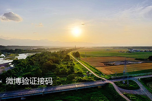 可以收发短信的接码平台