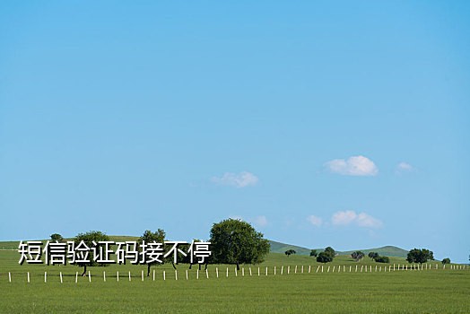 可可接码最新网