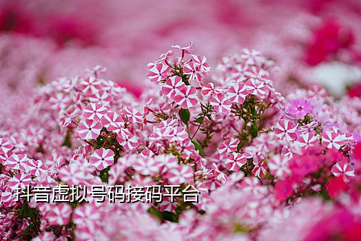 微信手机号接码