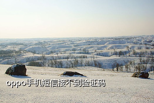 接微信扫码辅助单