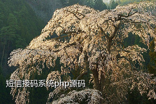 接推广码加微信有风险吗