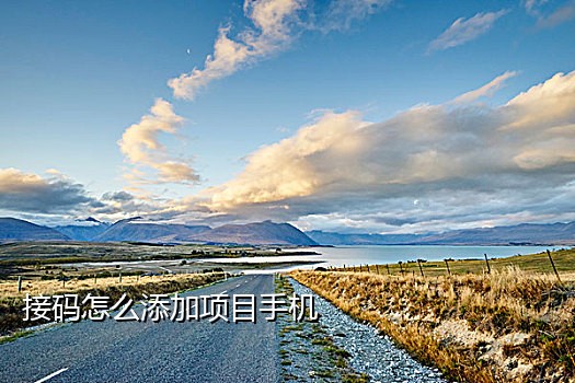 接码助力淘宝