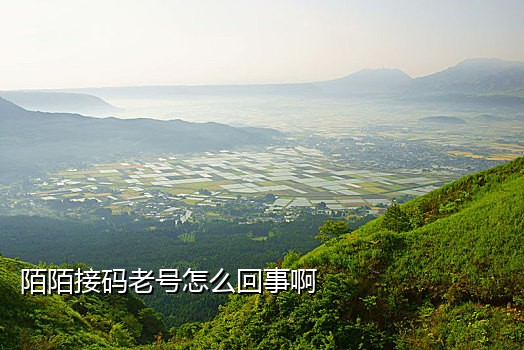 接码修改QQ手机绑定