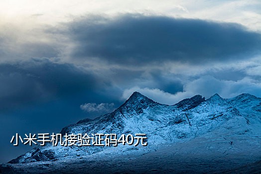 接码软件手机版安卓