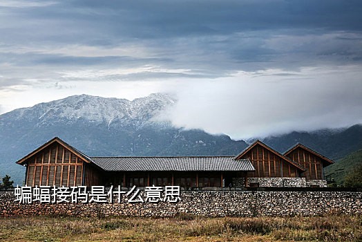 接码平台注册微信多少钱