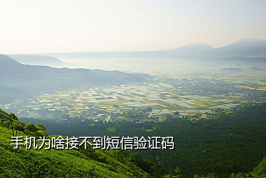 接码平台微信客服