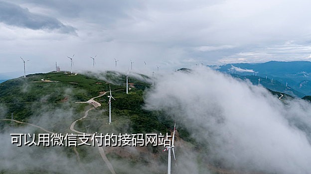 接码平台的手机号被盗