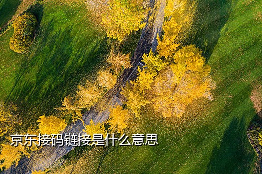 接码平台的号能注册微信吗