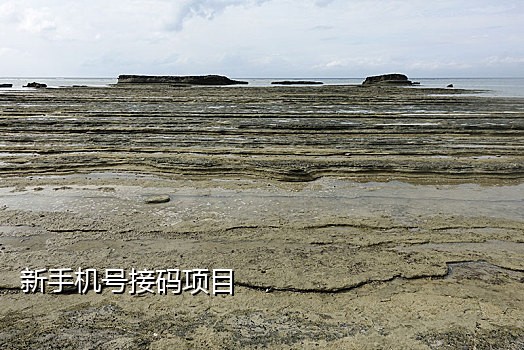 付费接码短信验证码平台