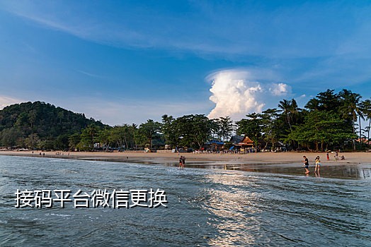 接码可以发短信