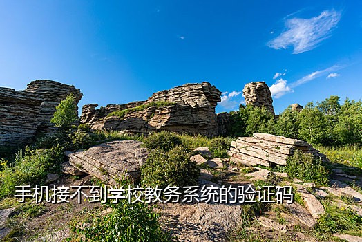 接不到短信验证码怎么办