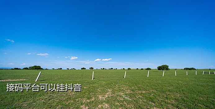 飞书接码平台app