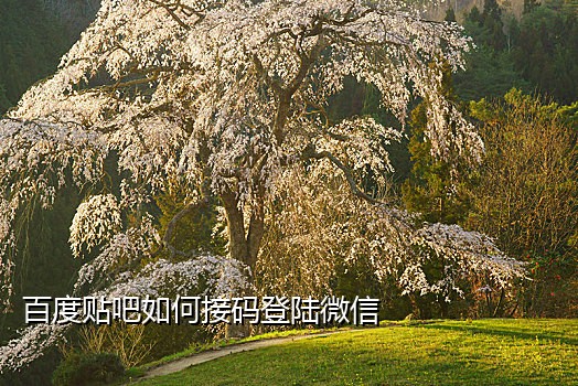 获取验证码手机短信接不到