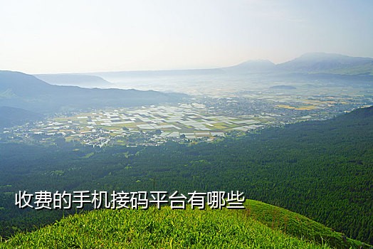 火云接码手机能注册吗