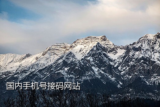 火云接码手机端