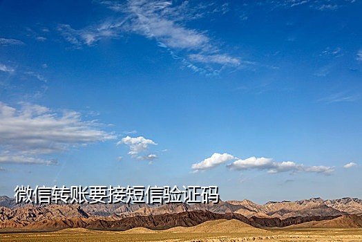 华为手机接码软件