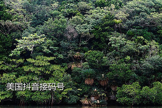 发短信接验证码