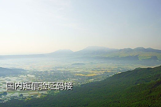 国内接码在线接收短信