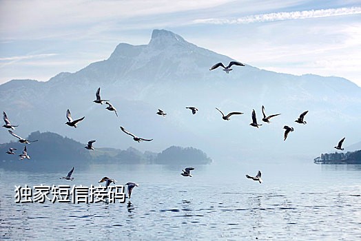 非虚拟手机号接码