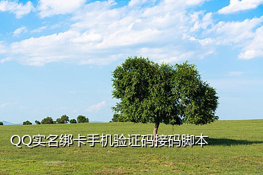 饿了么语音卡接码