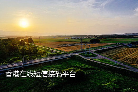 饿了么接码软件