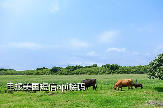 短信接码注册验证