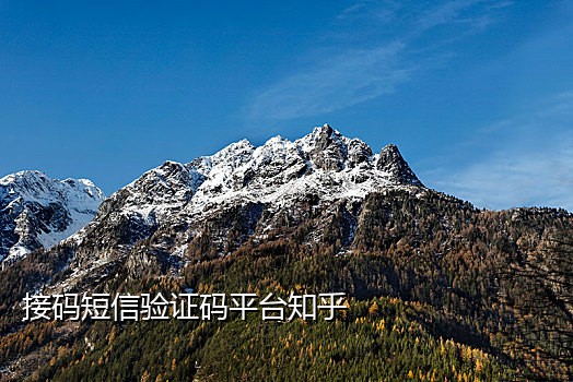 短信接码视频怎么设置铃声