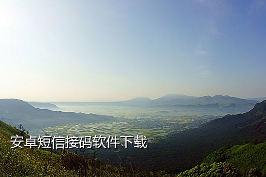 短信接码api提取