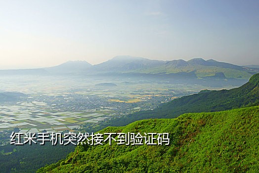 抖音小号接码接码教程