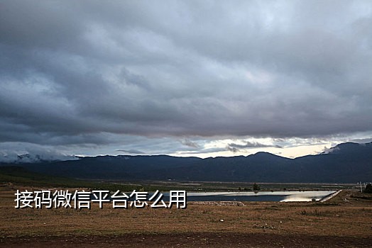 抖音快手接码怎么弄的