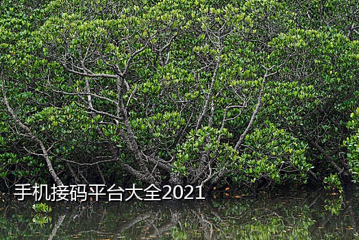 抖音接码注册卡