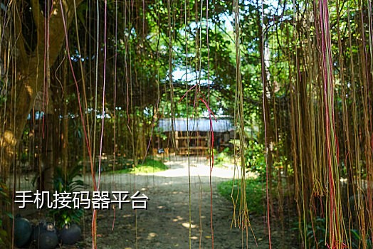 微信扫码好评不扫别接差评