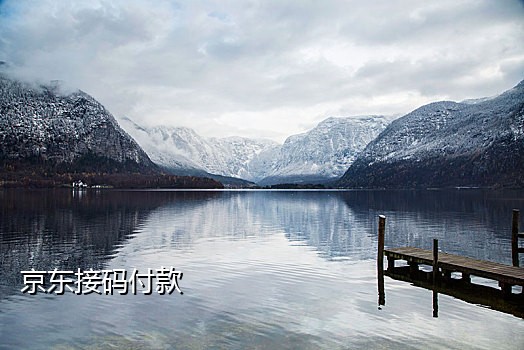 蝙蝠极速接码平台