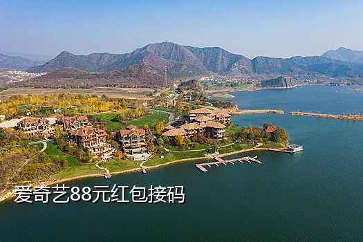 tThewolf短信接码平台