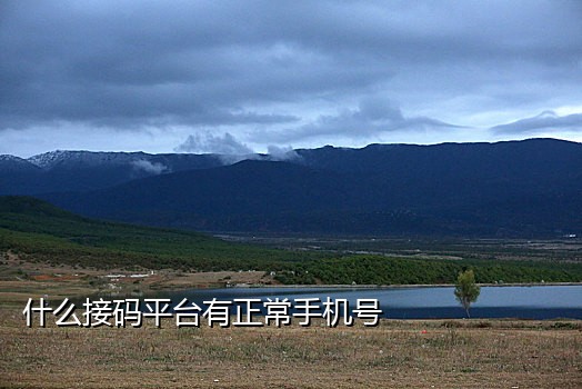 steam接不到验证码了