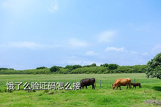 短信接验证码平台怎么接