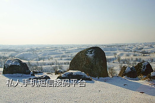 短信接验证码平台j