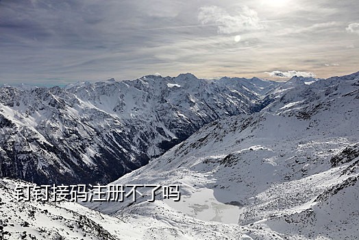 短信接验证码慢